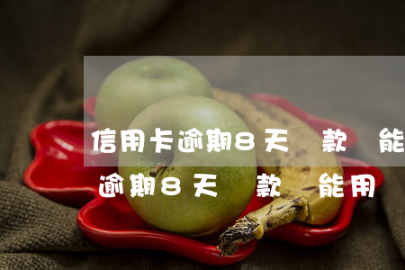 信用卡逾期8天還款還能用嗎貼吧-信用卡逾期8天還款還能用嗎貼吧