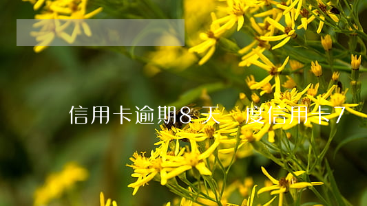 信用卡逾期8天額度(信用卡7萬額度逾期)