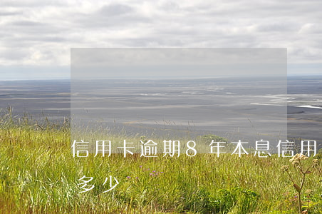 信用卡逾期8年本息(信用卡8千逾期一年還多少)