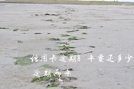 信用卡逾期8年要还多少钱(我信用卡欠8万逾期两年)