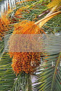 信用卡逾期8张卡9万元