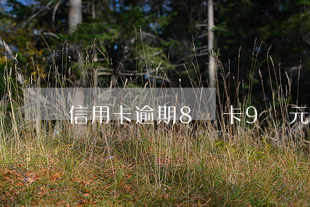 信用卡逾期8張卡9萬元