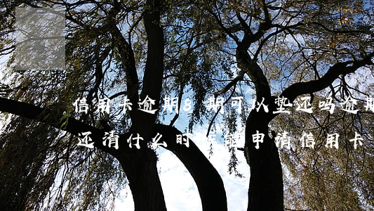 信用卡逾期8期可以垫还吗(逾期28个月已还清什么时候能申请信用卡)