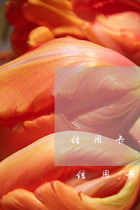 信用卡逾期8次公積金貸款條件(住房公積金信用卡逾期次數(shù))