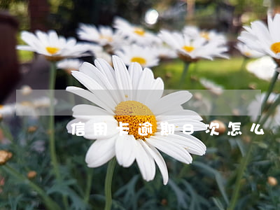 信用卡逾期8次怎么貸款(信用卡逾期9次)