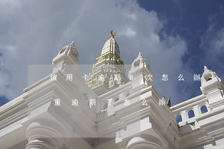 信用卡逾期8次怎么辦-8張信用卡全部嚴重逾期了怎么辦