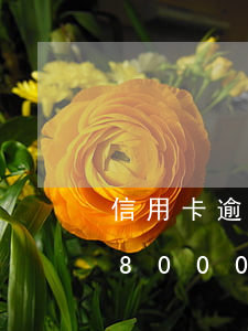 信用卡逾期8次 現(xiàn)在-信用卡8000逾期