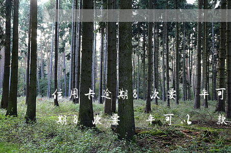 信用卡逾期8次要幾年可以貸款-信用卡逾期8次要幾年可以貸款買房子