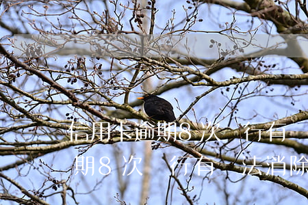 信用卡逾期8次銀行有辦法消除嗎(信用卡逾期8次銀行有辦法消除嗎嗎)