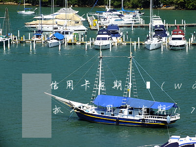 信用卡逾期8萬(wàn)報(bào)警抓人(信用卡逾期17萬(wàn)要抓我怎么辦)