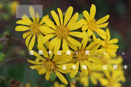 信用卡逾期8萬(wàn)多逾期后會(huì)坐牢嗎-信用卡8000逾期