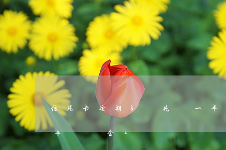 信用卡逾期8萬先還一半(信用卡逾期8萬一年違約金4萬)
