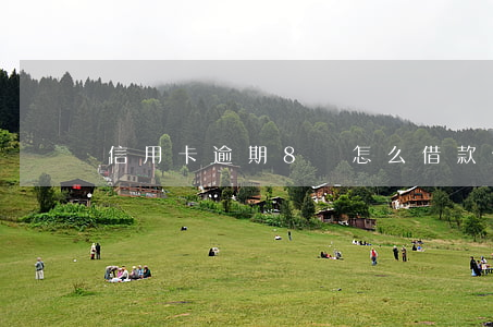 信用卡逾期8萬怎么借款(信用卡8塊錢逾期)