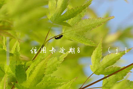 信用卡逾期8萬經(jīng)偵處立案