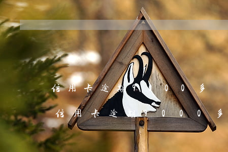 信用卡逾期9000多會(huì)怎么樣 信用卡逾期9000多會(huì)怎么樣了