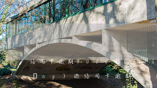信用卡逾期9000會(huì)被網(wǎng)逃(信用卡逾期9000會(huì)被網(wǎng)逃)