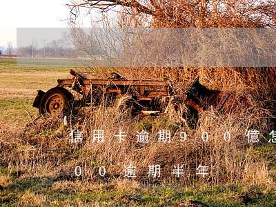 信用卡逾期900億怎么解決 信用卡15000逾期半年