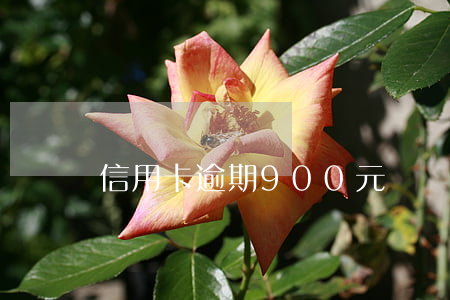 信用卡逾期900元