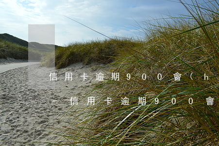 信用卡逾期900會(huì)影響征信嗎-信用卡逾期900會(huì)影響征信嗎知乎