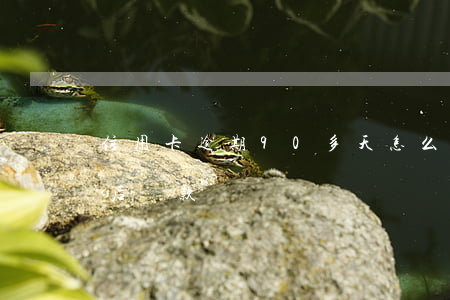 信用卡逾期90多天怎么還款(逾期90天以后還款)