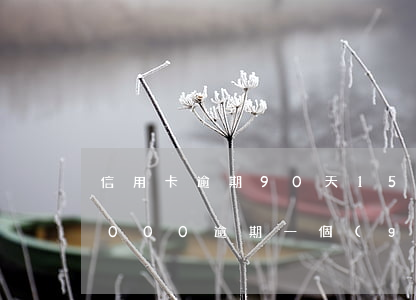 信用卡逾期90天15000圓-信用卡9000逾期一個(gè)月多少錢
