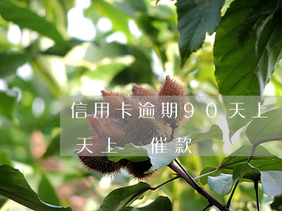 信用卡逾期90天上門催款(信用卡逾期90天上門催款電話)