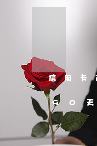 信用卡逾期90天人在國(guó)外(逾期90天以上信用卡)