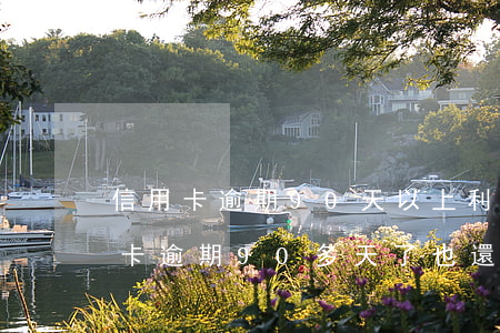 信用卡逾期90天以上利息還不起-欠信用卡逾期90多天了也還不上怎么辦?