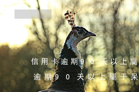 信用卡逾期90天以上屬于呆賬嗎-信用卡逾期90天以上屬于呆賬嗎怎么辦