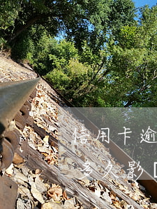 信用卡逾期90天以上影響車貸-車貸逾期多久影響信用