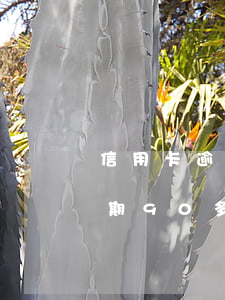 信用卡逾期90天以上沒錢還-欠信用卡逾期90多天了也還不上怎么辦?