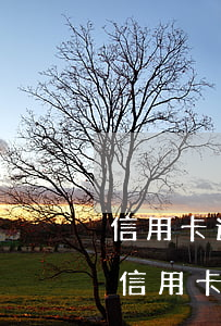 信用卡逾期90天以上結(jié)清4年(信用卡90天以上逾期會(huì)怎么樣)