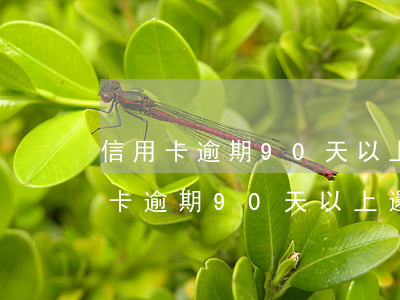 信用卡逾期90天以上還的是本金嗎-信用卡逾期90天以上還的是本金嗎怎么算