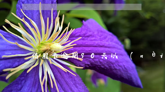 信用卡逾期90天以內(nèi)沒事吧
