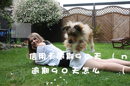 信用卡逾期90天內(nèi)征信(信用卡逾期90天怎么樣補(bǔ)救)