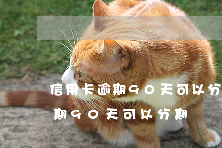 信用卡逾期90天可以分期還嗎-信用卡逾期90天可以分期還嗎
