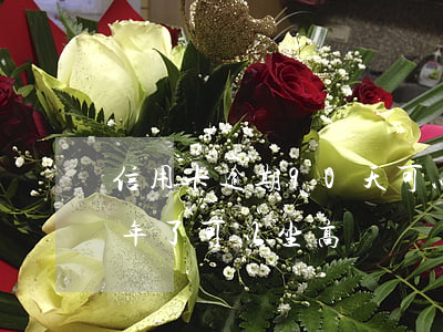 信用卡逾期90天可以坐高鐵嗎(欠信用卡三年了可以坐高鐵嗎)