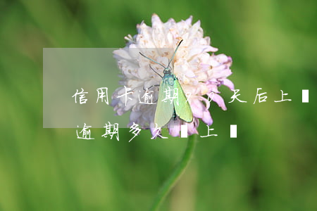 信用卡逾期90天后上門-信用卡2000逾期多久會上門