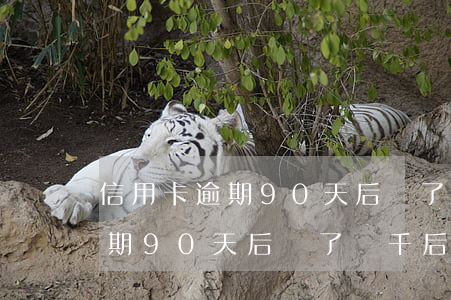 信用卡逾期90天后還了兩千后-信用卡逾期90天后還了兩千后還能用嗎