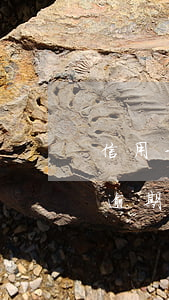 信用卡逾期90天后還款最合適嗎-信用卡逾期90天后還款最合適嗎為什么