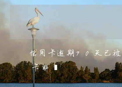 信用卡逾期90天已被鎖定(逾期90天信用卡解凍)