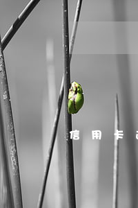 信用卡逾期90天怎么免利息