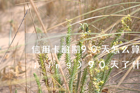 信用卡逾期90天怎么算(信用卡逾期已經(jīng)90天了,什么時候會執(zhí)行)