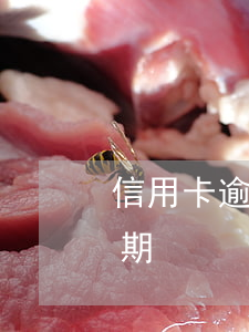 信用卡逾期90天截圖-信用卡10幾天逾期