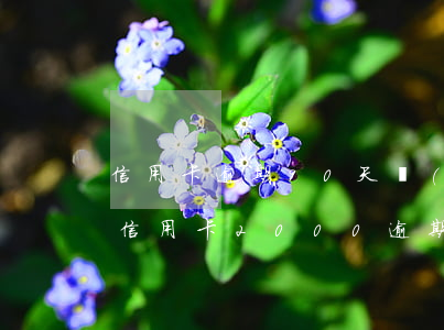 信用卡逾期90天會(huì)上黑名單嗎(信用卡2000逾期三個(gè)月會(huì)上黑名單嗎)