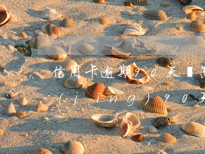信用卡逾期90天會怎么樣(信用卡逾期已經(jīng)90天了,什么時(shí)候會執(zhí)行)