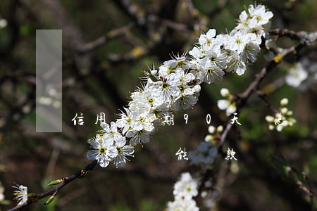 信用卡逾期90天會怎樣(信用卡逾期90天會怎樣還能貸款嗎)