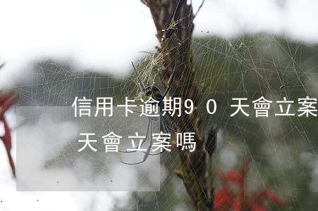 信用卡逾期90天會立案嗎 信用卡逾期90天會立案嗎