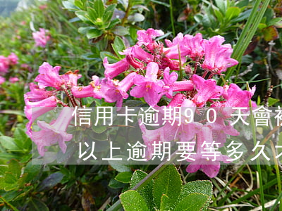 信用卡逾期90天會被坐牢嗎-有過90天以上逾期要等多久才能申請信用卡