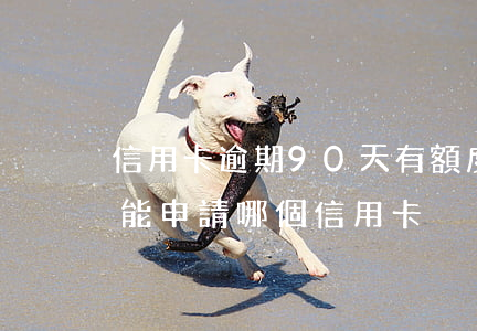 信用卡逾期90天有額度(征信有90天逾期能申請哪個信用卡)